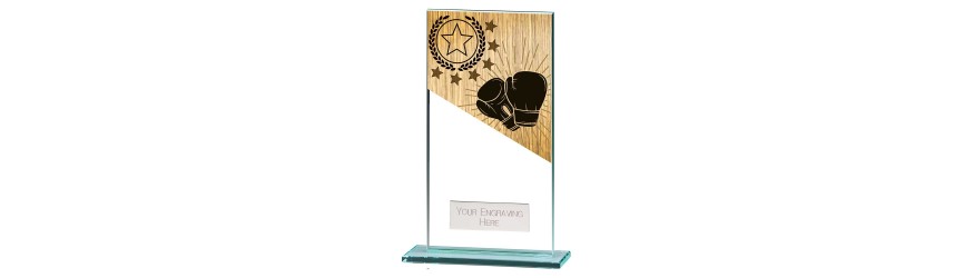 MUSTANG BOXING GLASS TROPHY - 5 SIZES - 11CM - 18CM MUSTANG BOXING GLASS TROPHY - 5 SIZES - 11CM - 18CM